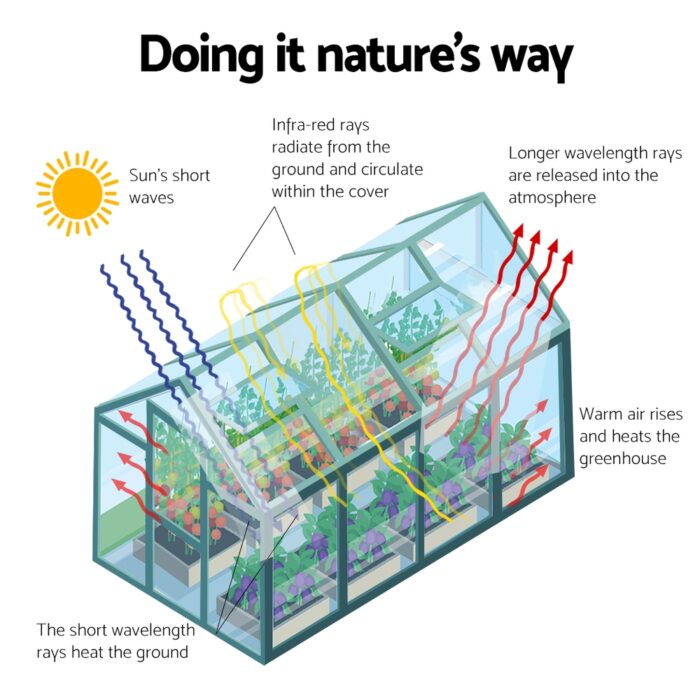 Green Fingers Greenhouse Aluminium Polycarbonate Green House - Image 6