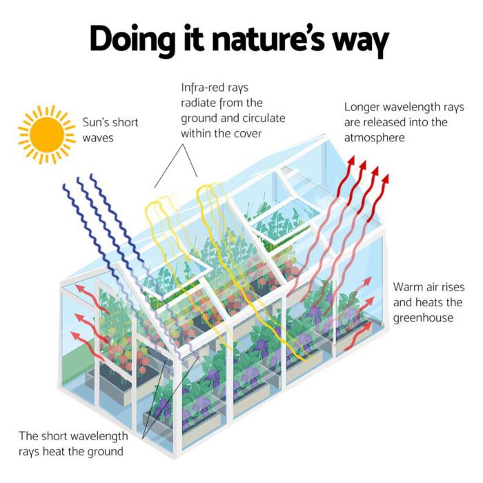Green Fingers Greenhouse Aluminium Double Doors Green House Garden Shed - Image 6